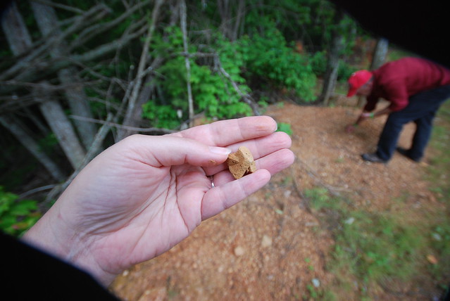 Hunt for Fairy Stones, little staurolite crosses occur naturally at Fairy Stone State Park 