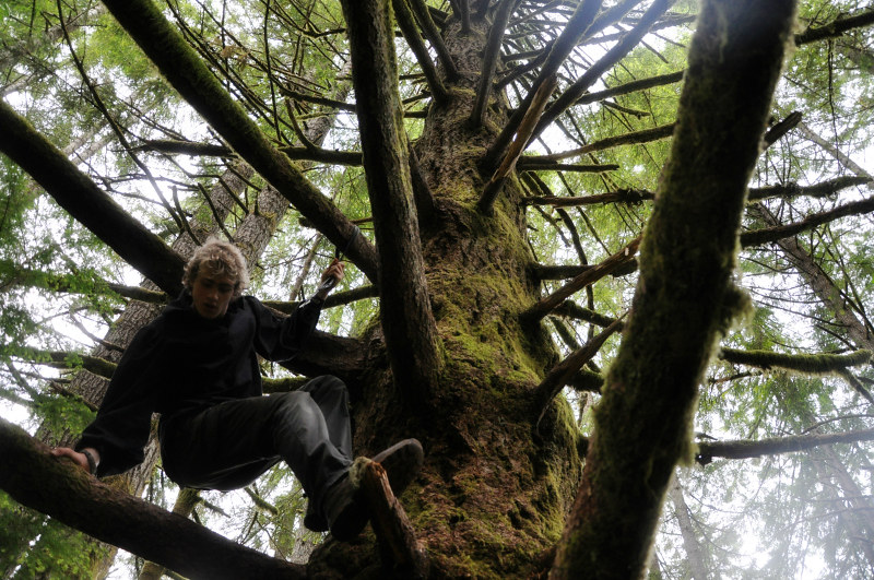 Alsea and Green Peak Falls Tree Climbing @ Mt. Hope Chronicles