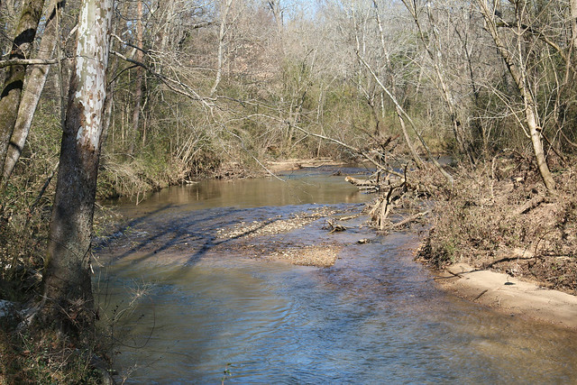 Pictured is a stream in the woods.
