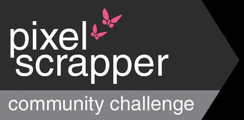 Designer Challenge Logo