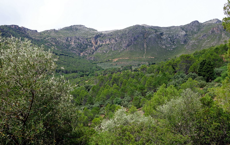 Sierras de Cazorla, Segura y Las Villas (Jaén). (4). Hornos y Segura. - Recorriendo Andalucía. (11)