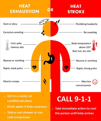 Heat Exhaustion or Heat Stroke graphic