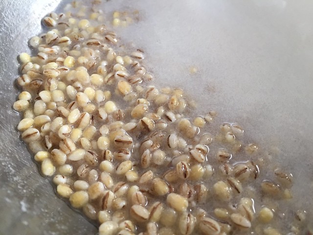 Pre-fermenting barley