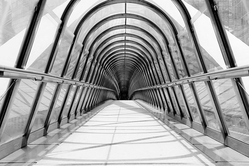 Japan Bridge in black and white: part 2