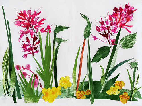 Wales: Pemrokeshire hedge flowers collage