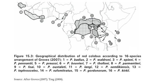 Red colobus species and distribution_Groves 2007