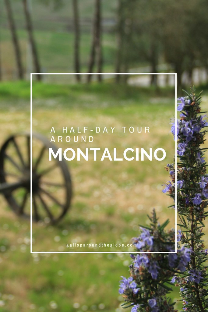 Hill Towns, Monasteries, and Wine Tasting: A Half-Day Tour around Montalcino