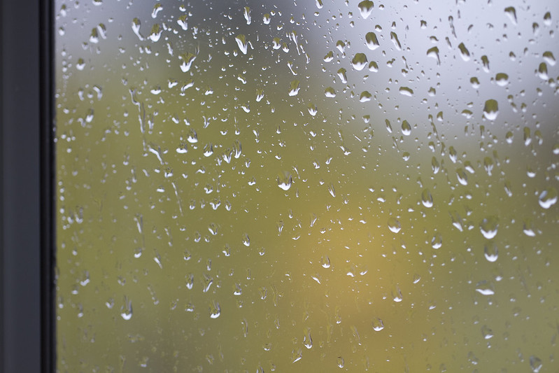 rainy window pane
