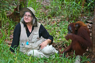 Orangutan Eco Tour Travel to Borneo Indonesia with Dr. Birute Mary Galdikas