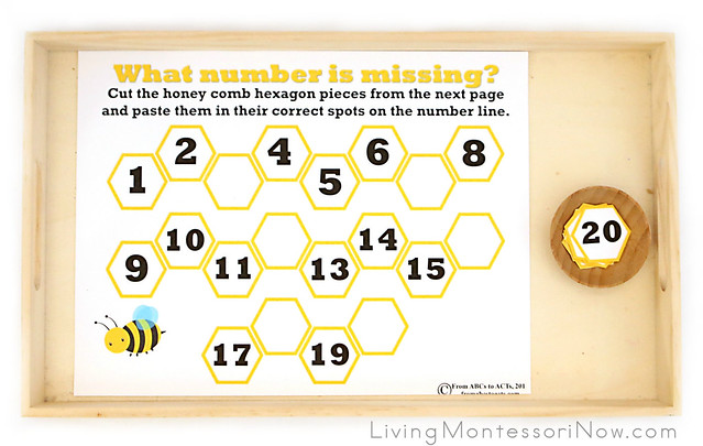 What Number Is Missing from the Honeycomb? Activity