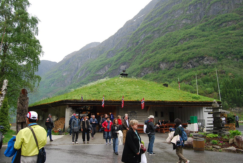 Crucero Tierras de los Vikingos. - Blogs de Baltico y Fiordos - Bergen. Tren de Flam (10)