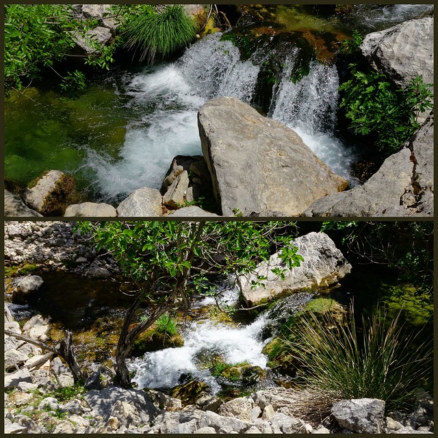 Sierras de Cazorla, Segura y las Villas, Jaén (3). Ruta río Borosa (a pie). - Recorriendo Andalucía. (30)