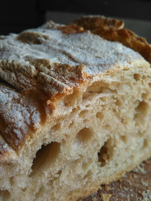 Huge bread (yeast)