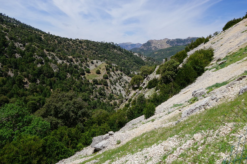 Sierras de Cazorla, Segura y las Villas, Jaén (3). Ruta río Borosa (a pie). - Recorriendo Andalucía. (44)