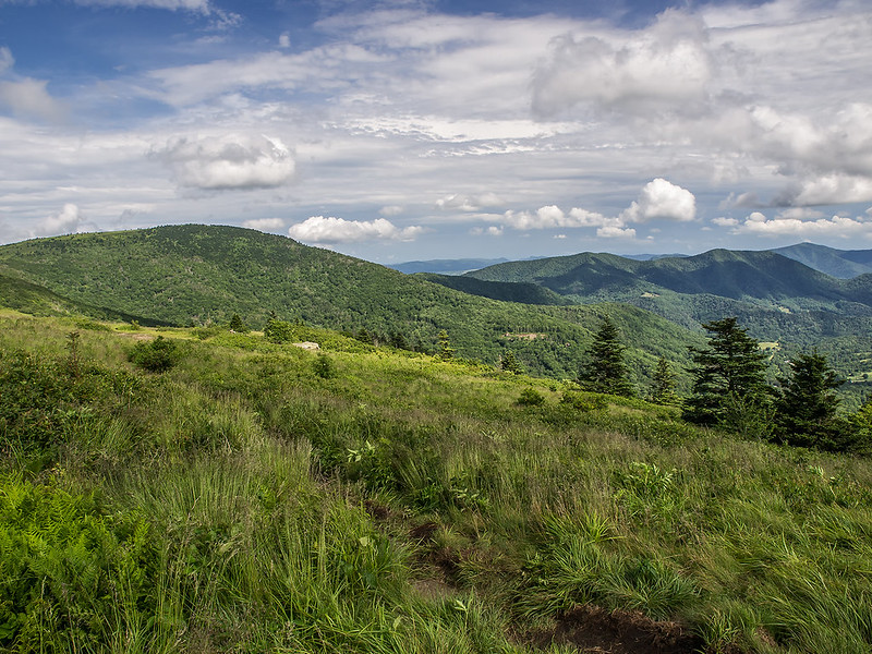 View of the Southern Appalachian Mountains from the Roan Highlands