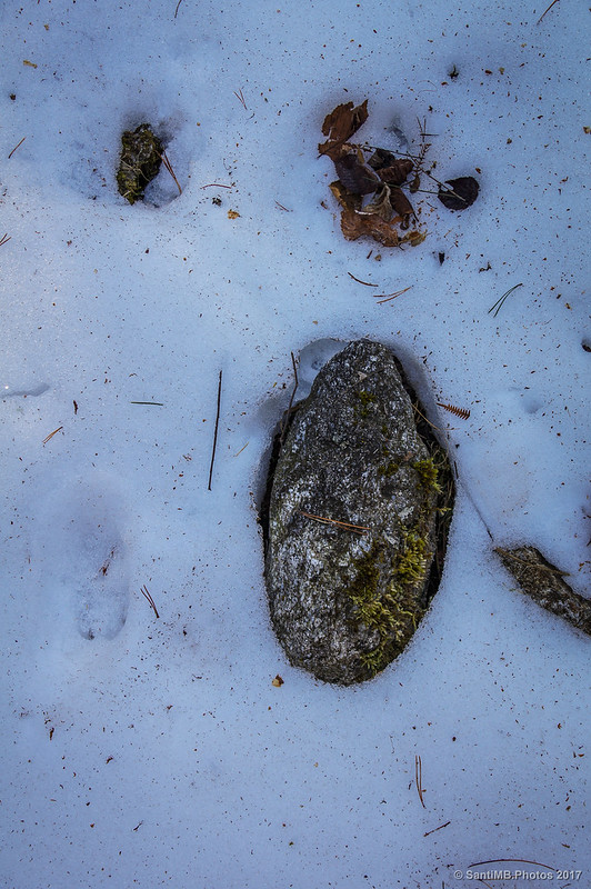 Nieve y piedras