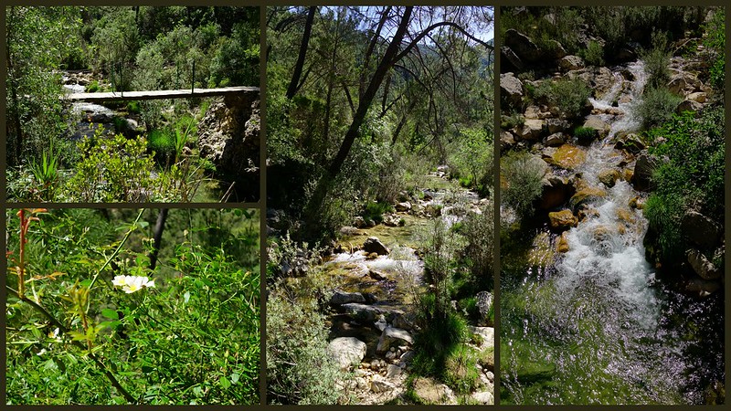 Sierras de Cazorla, Segura y las Villas, Jaén (3). Ruta río Borosa (a pie). - Recorriendo Andalucía. (14)