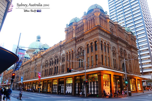 Day 2 - Sydney Queen Victoria Building 01