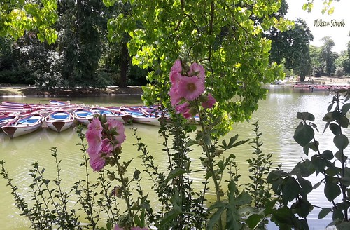 Lac Daumesnil - Bois de Vincennes