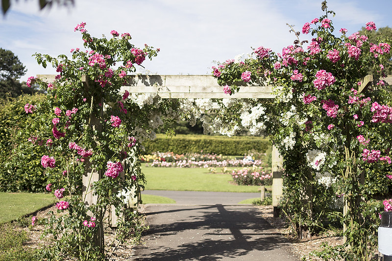 Places in Dublin Where you Can Stop and Smell the Roses