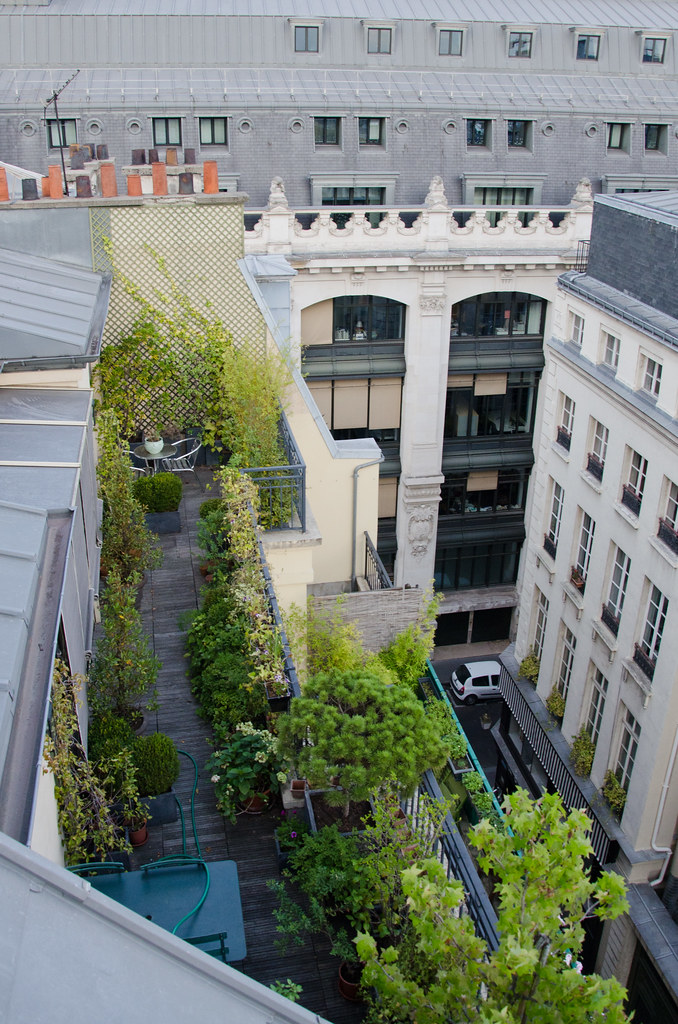 Terrasse parisienne