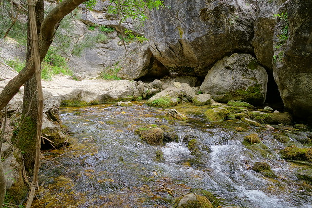 Sierras de Cazorla, Segura y las Villas, Jaén (3). Ruta río Borosa (a pie). - Recorriendo Andalucía. (55)