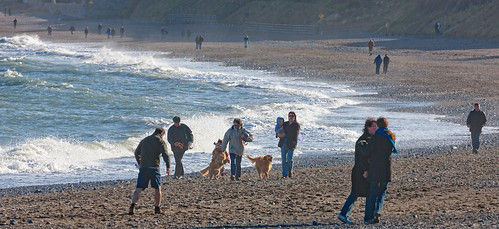  KILLINEY BEACH AS RECOMMENDED BY NINE OUT OF TEN DOGS [MARCH 2008]  006 