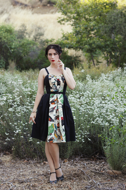 Trashy Diva The Getaway Dress in Birds of a Feather Print  Southern California Belle