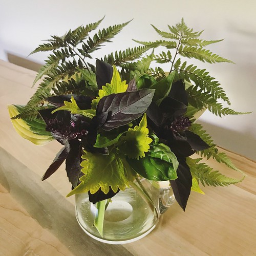 hosta, painted fern, coleus, green & purple basil - all from our garden