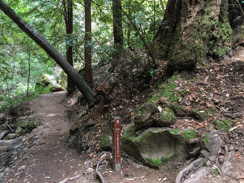 Saratoga Gap Trail (B)