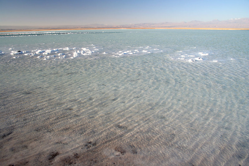 Laguna Tebinquinche - Atacama - Chile