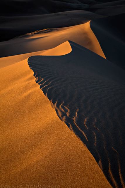 Dune Light