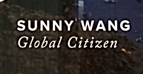 SUNNY WANG Global Citizen--Toronto (detail)