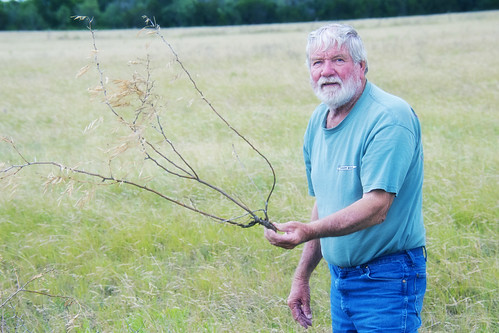 Rancher Larry Mattlage holding an invasive mesquite