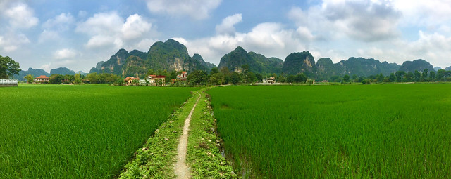 VIETNAM, DONDE LOS DRAGONES EXISTEN - Blogs de Vietnam - NINH BINH (3)