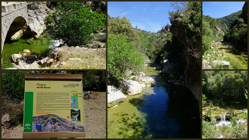 Sierras de Cazorla, Segura y las Villas, Jaén (3). Ruta río Borosa (a pie). - Recorriendo Andalucía. (15)