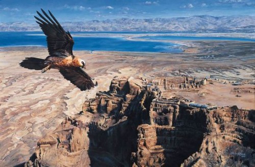 Bearded-Vulture-over-Masada-Martin-Rinik-Slovakia
