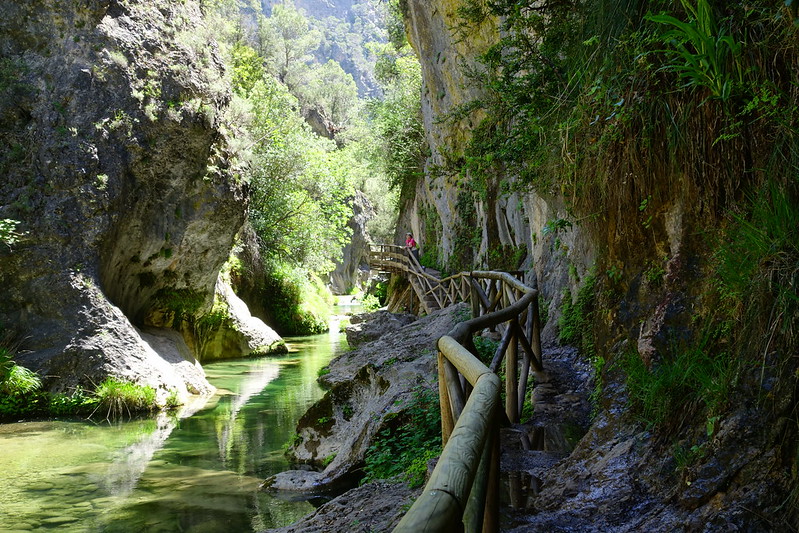 Sierras de Cazorla, Segura y las Villas, Jaén (3). Ruta río Borosa (a pie). - Recorriendo Andalucía. (24)