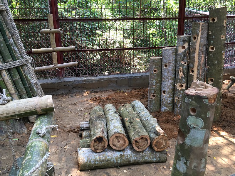 Animals Asia team taught classes on building toys and feeders from logs
