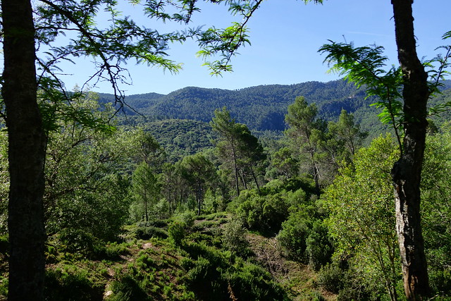 Sierras de Cazorla, Segura y las Villas, Jaén (3). Ruta río Borosa (a pie). - Recorriendo Andalucía. (3)