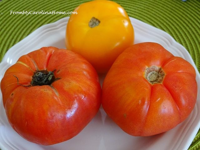Heirloom Tomatoes at From My Carolina Home