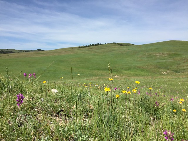 20 great things about the Great Plains, Visit The Prairie