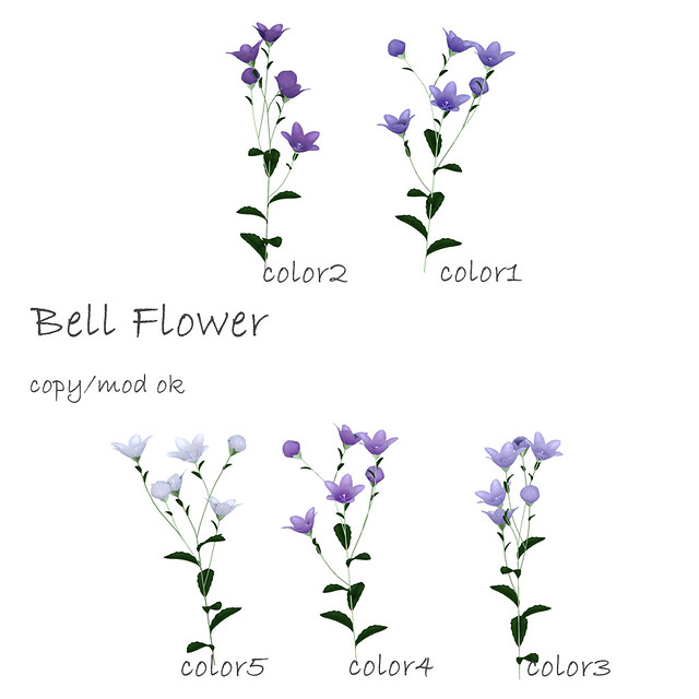 *NAMINOKE*Bell Flowers