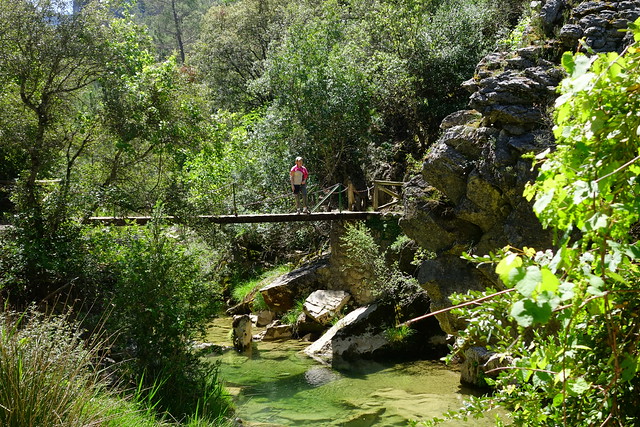 Sierras de Cazorla, Segura y las Villas, Jaén (3). Ruta río Borosa (a pie). - Recorriendo Andalucía. (19)