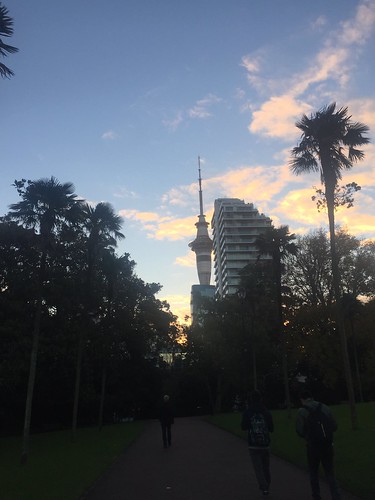 View of the iconic Auckland Sky Tower from our local park. I haven't been up it yet but it's one of the last things on my bucket list before I leave.