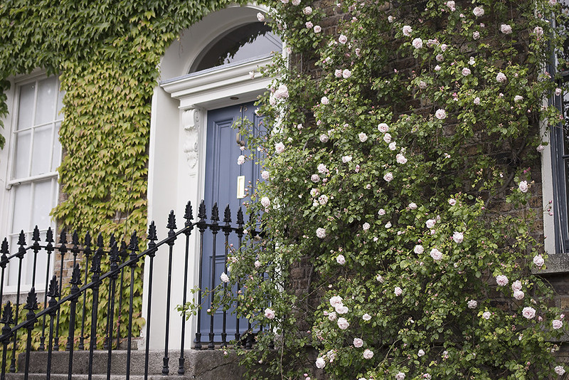 Places in Dublin where to Stop and Smell the Roses