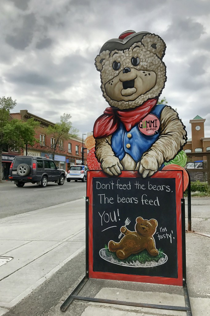 The bears feed you!