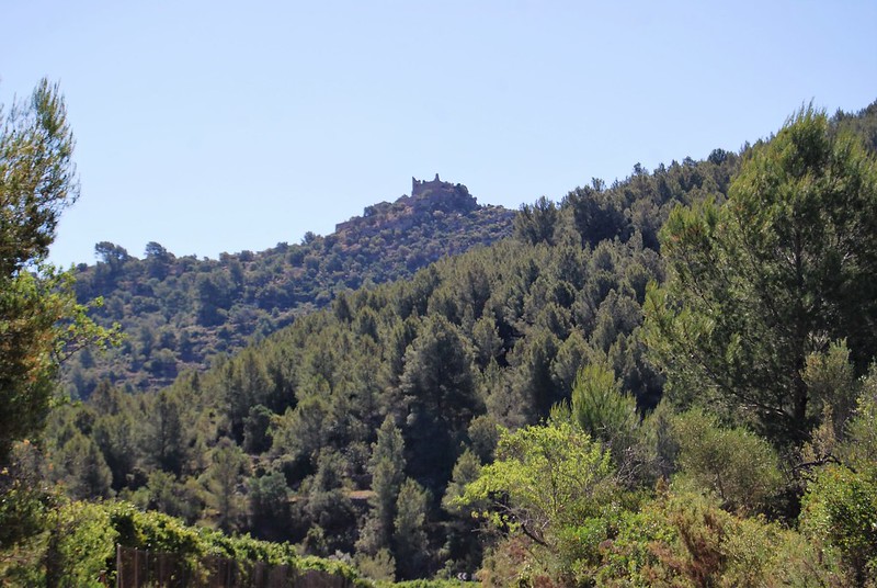 Por tierras de Castellón, ¡¡¡SOla??? y en descapotable. - Blogs de España - Un desierto que no es tal y castillos, ermitorios, monasterios, fuentes y palmas (7)