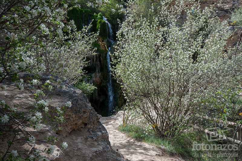 Cascada de Calomarde