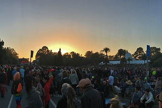Summer of Love - Conservatory of Flowers sunset